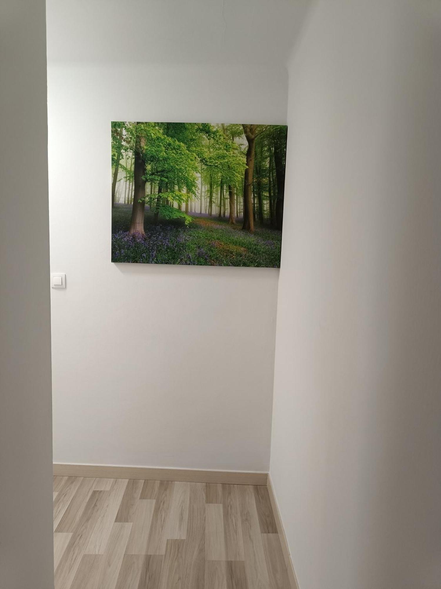 Apartamento Confort I La Seu d'Urgell Ngoại thất bức ảnh